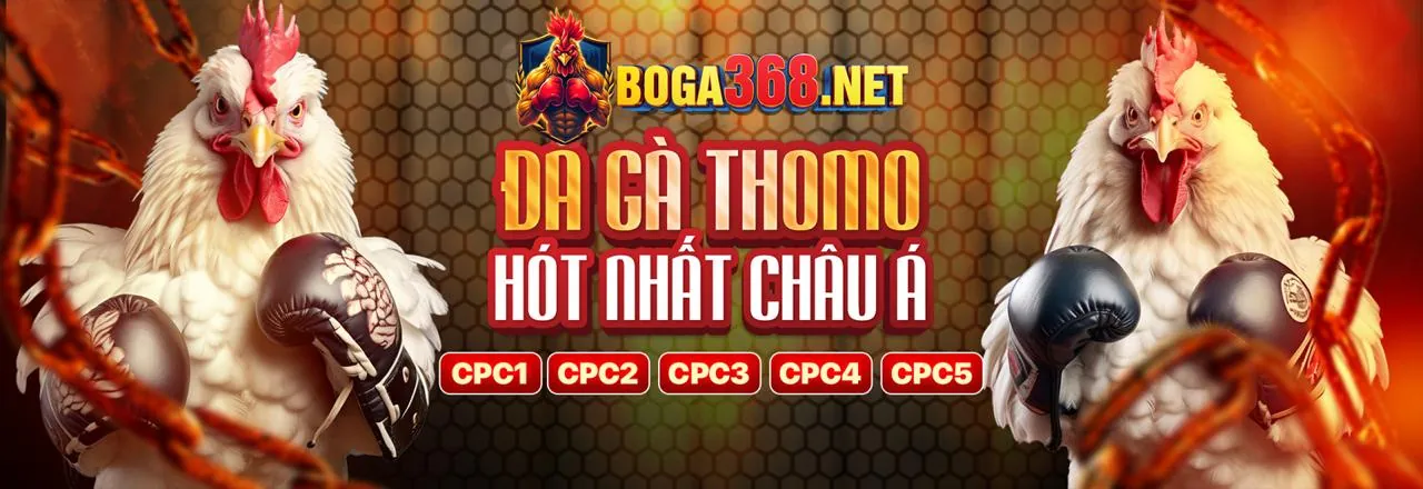 ff168 trang chủ Khuyến Mãi 2026 - Ưu đãi độc quyền cho cá cược trực tuyến