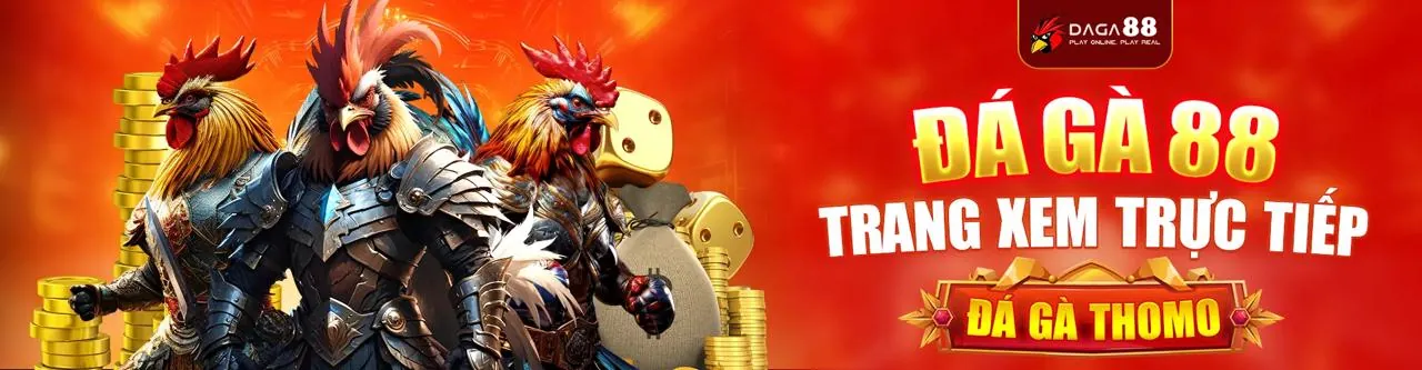 Đá Gà Trực Tuyến Hấp Dẫn tại FF168 Trang Chủ 2026
